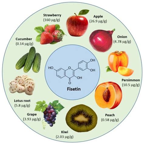 Fisetin: Benefits, Side